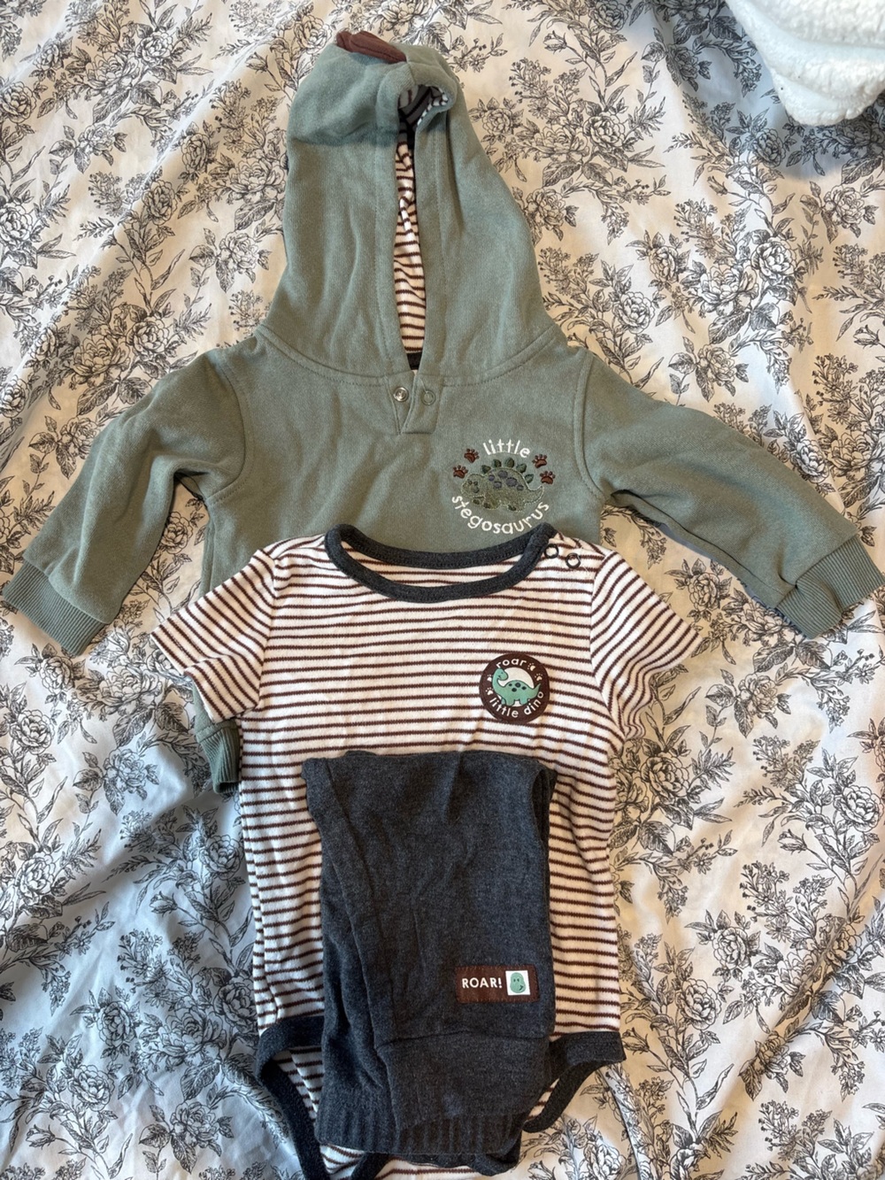 Little Stegosaurus Hooded Top and Dino Stripe Bodysuit Set - Green & Charcoal